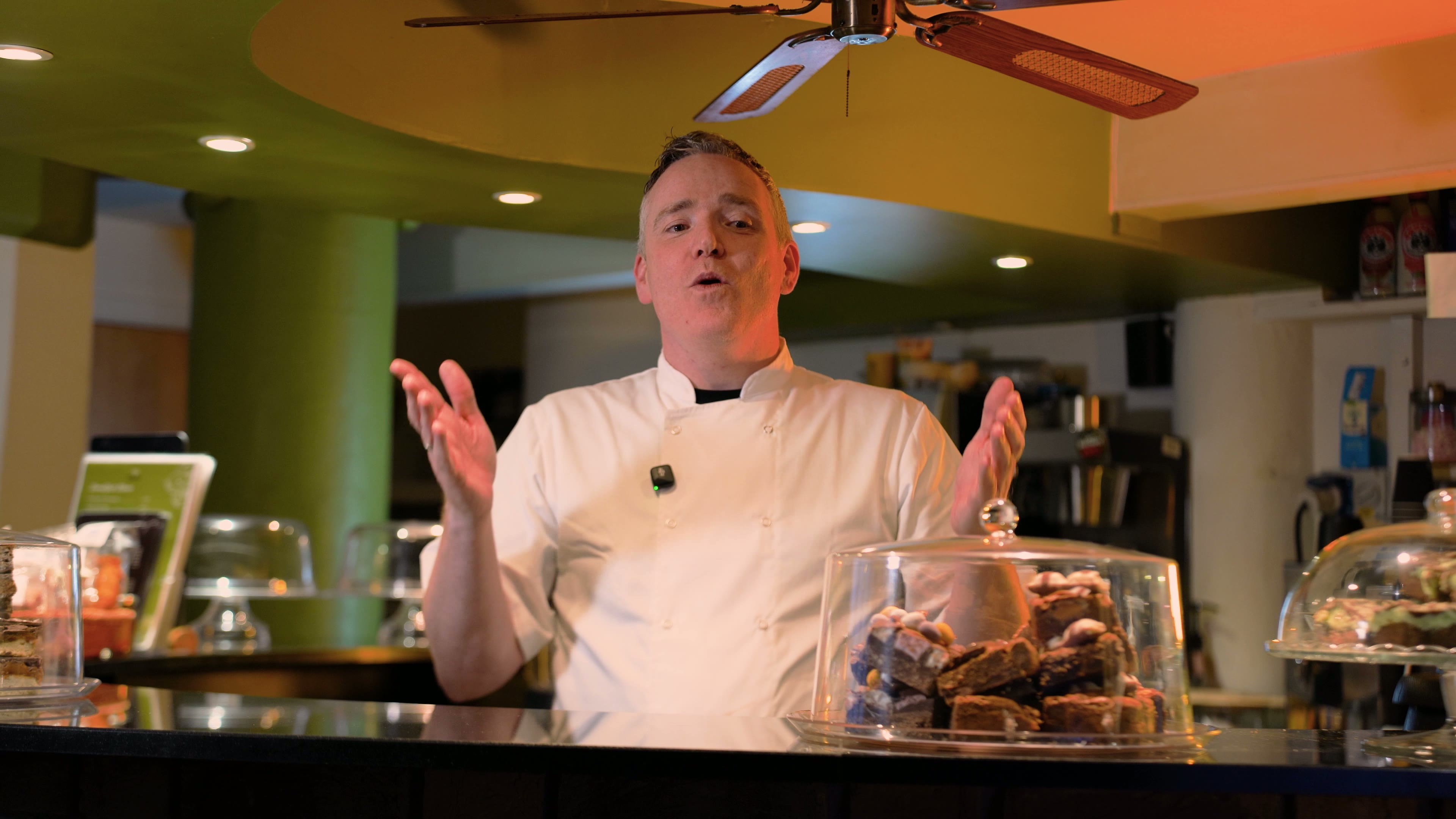 Olive Tree — Open Early